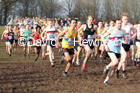 Senior men, 2020 British Athletics Inter Counties Cross Country Champs., Prestwold Hall, Loughborough. Photo: David T. Hewitson/Sports for All Pics